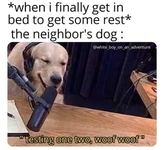 Dog-Testing-Woof Cute Picture Of A Retriever Wearing A Headset And Testing A Microphone