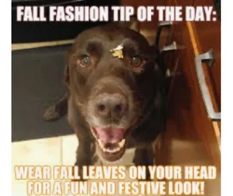 Autumn-Equinox-Fall-Fashion Autumn Equinox Memes Fall Fashion Tips