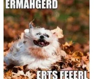 Fall-Equinox-Excitement Fall Equinox
