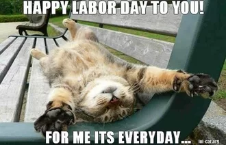Funny Labor Day Memes Cat