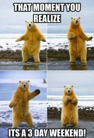 Funny Labor Day Memes Polar Bear Doing The Shuffle