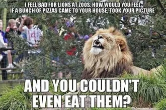Zoo-Lion-Pizza Funny Animal Memes Putting Yourself In A Lions Shoes Meme