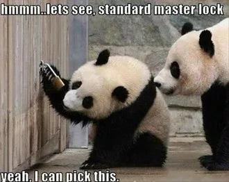 Funny Animal Memes  Lock Picking Panda
