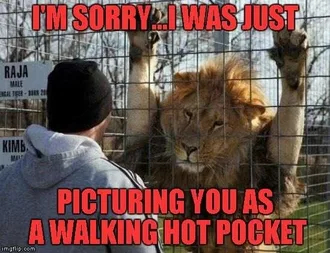 Zoo-Walking-Hot-Pocket Funny Animal Memes Lion Seeing Lunch Walk By