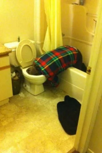 Funny Fail Photo Praying To Porcelain Gods