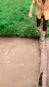 Fail Picture Showing Off Her Balance...