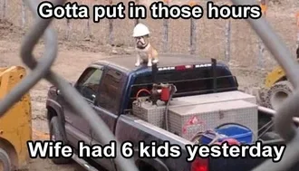 Lol Dog Captions Working Like A Dog