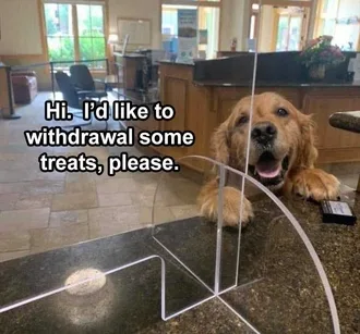 Lol Dog Pics Banking Treats