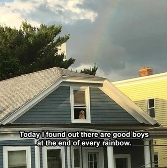 Lol Dog Captions End Of The Rainbow