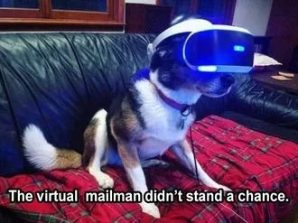 Lol Dog Pics Vr Dog