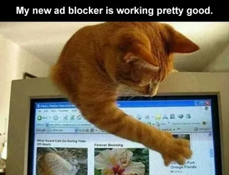 Lol Cat Memes Adblocker