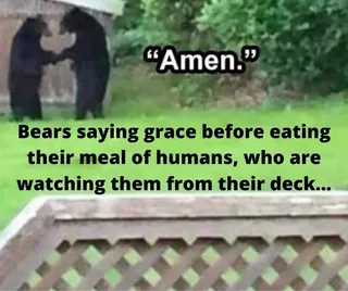Top-36-Funny-Animal-Memes-1 Animal Memes