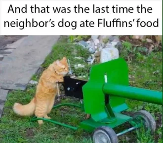 Top 36 Funny Animal Memes Of The Day 5Fc265E0Be0Ad