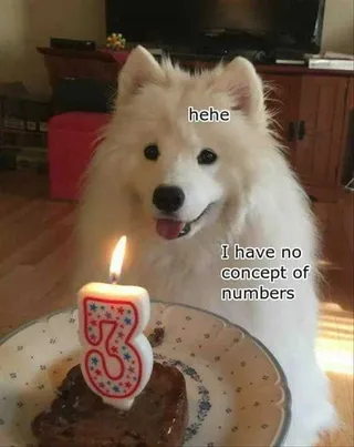 Funny Dog Memes With Caption No Idea What 3 Means