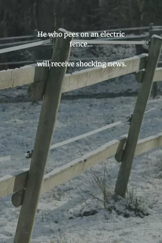 Funny Chinese Proverb  Peeing On Fences