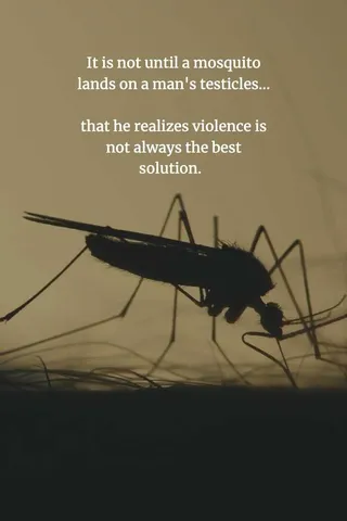 Funny-Chinese-Proverbs-20 Funny Chinese Proverb Violence Is Not The Answer