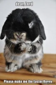 Funny Happy Easter Memes Funny Happy Easter Memes
