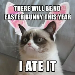 Funny Animal Easter Memes