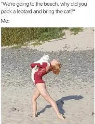 Beach-Memes-Cat Beach Memes Just Essentials