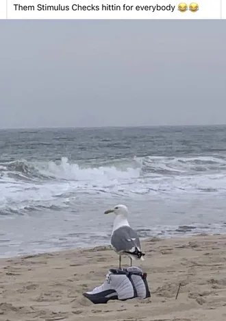 Beach-Memes-Checks Beach Memes Nice Kicks