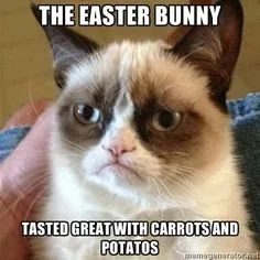 Funny Happy Easter Memes Funny Happy Easter Memes