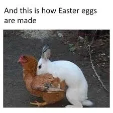 Funny Happy Easter Memes Funny Happy Easter Memes