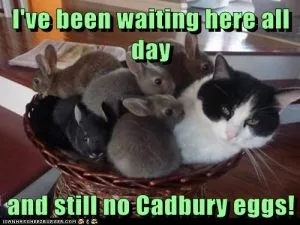 Funny Animal Easter Memes