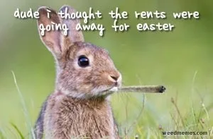 Funny Happy Easter Memes Funny Happy Easter Memes