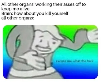 Depression-Memes-Organs Clean Depression Memes