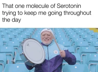 Depression-Memes-Seratonin Depression Memes Image