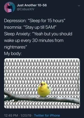 Depression-Memes-Sleep Depression Memes Reddit