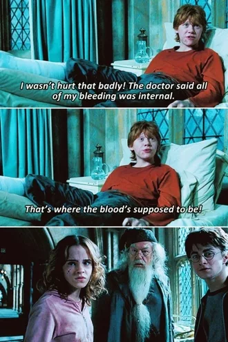 20 Funny Harry Potter Memes You Must See