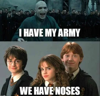 20 Funny Harry Potter Memes You Must See