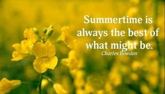 20 Inspirational Summer Holiday Quotes