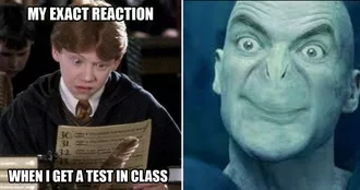 20 Funny Harry Potter Memes You Must See