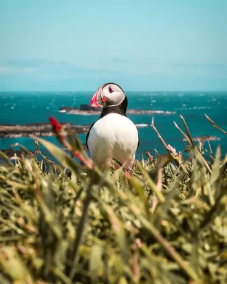 30 Absolutely Stunning Nature Shots From Great Photographers