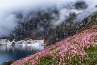 Rati Gali Lake By Maqsodd4348 5D482E9B4Eaf5 880