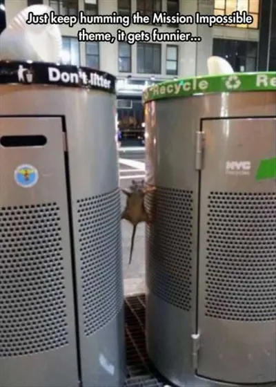 Mission Impossible Mouse