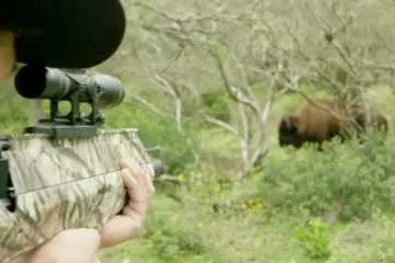 Jim Shockey Takes Down A Buffalo With The New Benjamin Pioneer Airbow Featured