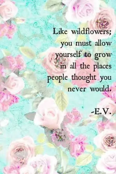 Amazing Motivational Quotes 516