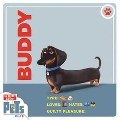 The Secret Life Of Pets  Funny Pictures And Quotes 002