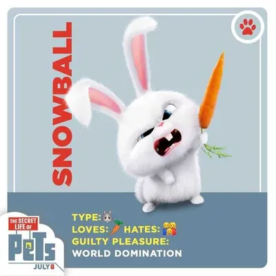 The Secret Life Of Pets  Funny Pictures And Quotes 006