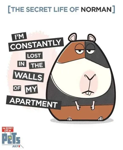 The Secret Life Of Pets  Funny Pictures And Quotes 012