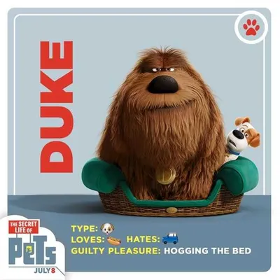 The Secret Life Of Pets  Secret Life Of Pets Memes