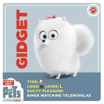 The Secret Life Of Pets  Funny Pictures And Quotes 020