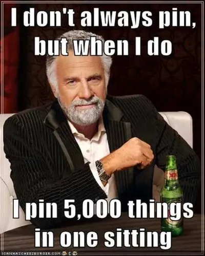 66 Funny Pictures  Bingeterest