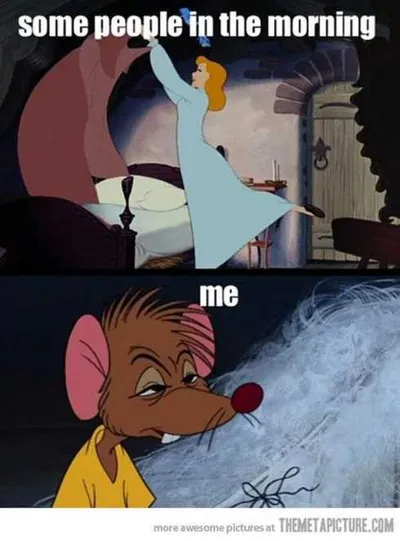 66 Funny Pictures  Morning People