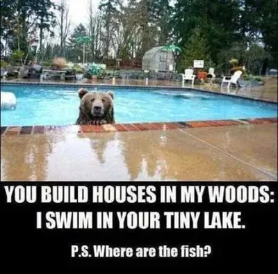 Funny Animal Pictures Youre Going To Love 002