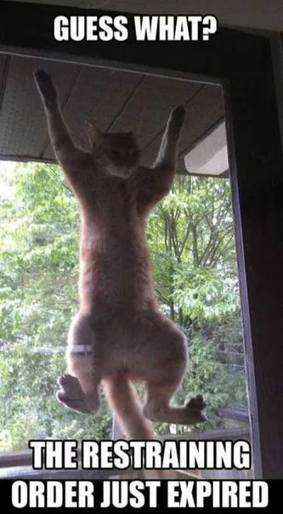 Funny Animal Pictures Youre Going To Love 003