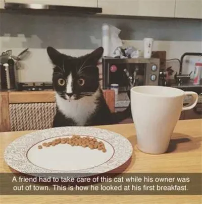 Funny Animal Pictures Youre Going To Love 021